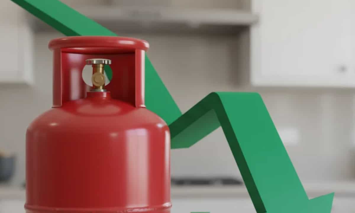 LPG cylinders stored at a commercial distribution facility