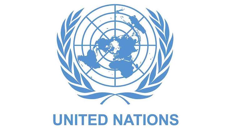 BEOE Highlights UN Career Openings for Pakistani Professionals
